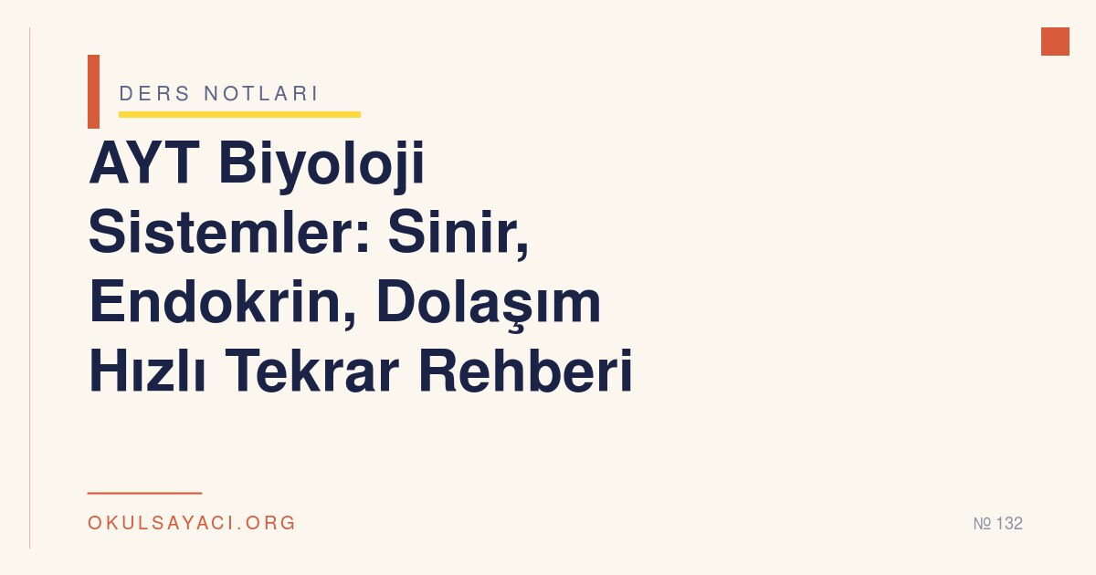 AYT Biyoloji Sistemler: Sinir, Endokrin, Dolaşım Hızlı Tekrar Rehberi